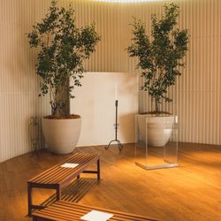 メゾン プルミエールの写真4枚目