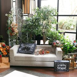 ビアンカーラ ヒルサイドテラスの写真24枚目