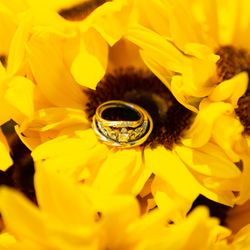 アートグレース ウエディング スクエアの写真5枚目