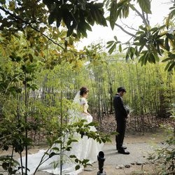 ザ・ガーデンオリエンタル大阪の写真31枚目