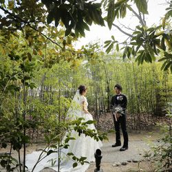 ザ・ガーデンオリエンタル大阪の写真26枚目