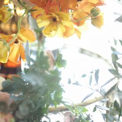 ザ・ガーデンオリエンタル大阪の写真15枚目