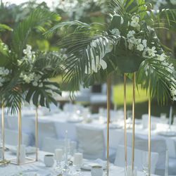 サイレントクラブの写真29枚目