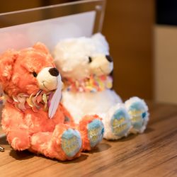 瀬良垣島教会の写真14枚目