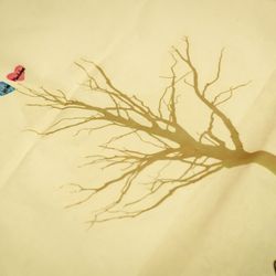 ブルーレマン名古屋の写真34枚目