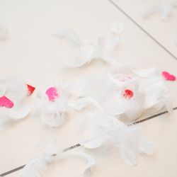 モンテファーレの写真13枚目