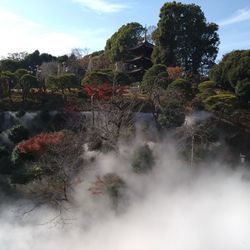 ホテル椿山荘東京の写真25枚目