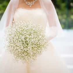 KOTOWA 奈良公園 Premium Viewの写真5枚目