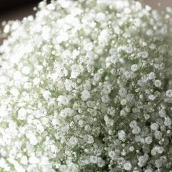 横浜迎賓館の写真5枚目