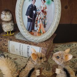 リストランテ ベニーレ ベニーレの写真36枚目