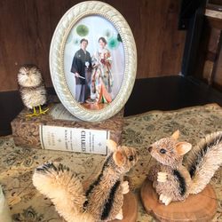 リストランテ ベニーレ ベニーレの写真5枚目