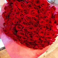 リストランテ ベニーレ ベニーレの写真16枚目