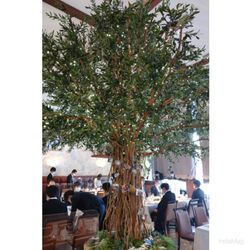 リストランテ ベニーレ ベニーレの写真33枚目