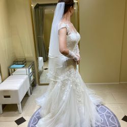 リストランテ ベニーレ ベニーレの写真4枚目