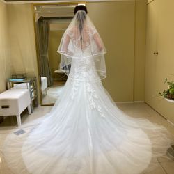 リストランテ ベニーレ ベニーレの写真2枚目