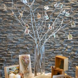 ANOTHER STYLE の写真8枚目