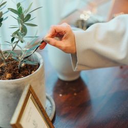 ブランリール大阪の写真3枚目