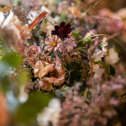 SHOZAN  RESORT  KYOTOの写真33枚目