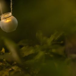 SHOZAN  RESORT  KYOTOの写真34枚目