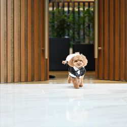 ラピスアジュールの写真4枚目