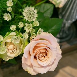 アニバーサリー アン 恵比寿の写真11枚目