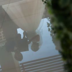 ザ・ミーツ マリーナテラスの写真9枚目