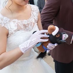 ザ・ミーツ マリーナテラスの写真18枚目