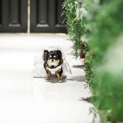 アーヴェリール迎賓館 名古屋の写真34枚目