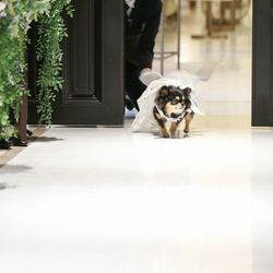 アーヴェリール迎賓館 名古屋の写真33枚目