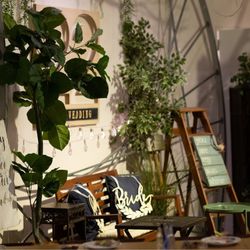 もともとグリーンがたくさんあるカフェなので、お花は飾りませんでした。そのままのイメージを崩さないような✧⁺⸜(●˙▾˙●)⸝⁺✧よわ、あつめました。