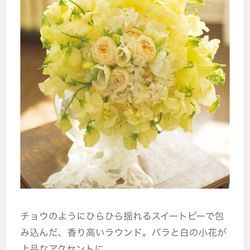 ラシック アンジュールの写真16枚目