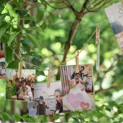 アニヴェルセル 豊洲の写真28枚目