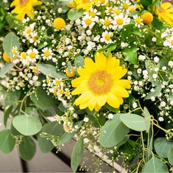 アールベルアンジェ札幌の写真35枚目