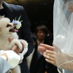 1111_weddingさんの披露宴・挙式カバー写真
