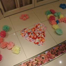 セレス高田馬場 Santa Angeliの写真20枚目