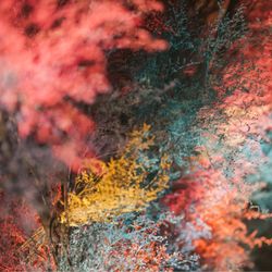 グランド ハイアット 東京の写真29枚目