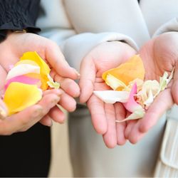 ザ・ミーツ マリーナテラスの写真8枚目