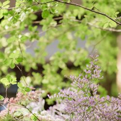 萬屋本店－KAMAKURA HASE est１８０６－の写真1枚目