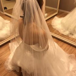 アーフェリーク迎賓館 大阪の写真31枚目