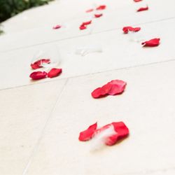 ザ・カワブンナゴヤの写真17枚目