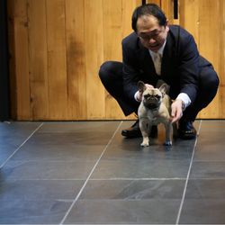 TRUNK HOTELの写真20枚目