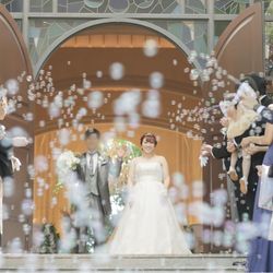 アルタビスタ ガーデンの写真8枚目