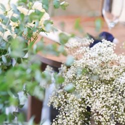 ララシャンス 博多の森の写真35枚目