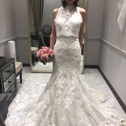 ウエディングテラスの写真15枚目