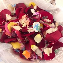 ザ・ロイヤルクラシック福岡の写真13枚目