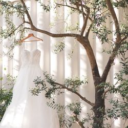 メゾン プルミエールの写真3枚目