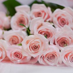 アニヴェルセル 立川の写真36枚目