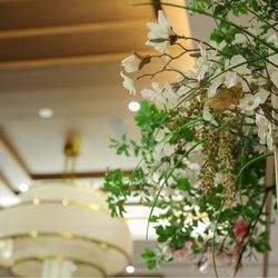 ラソールガーデン名古屋の写真19枚目