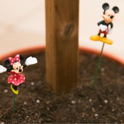 アニヴェルセル 東京ベイの写真15枚目