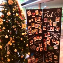 The South Harbor Resortの写真9枚目